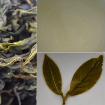 Taiwan Green Tea
